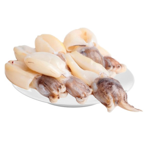 каракатица-молодая