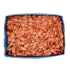 крветки-короб