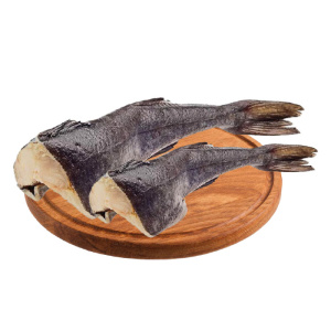 зубатка-синяя