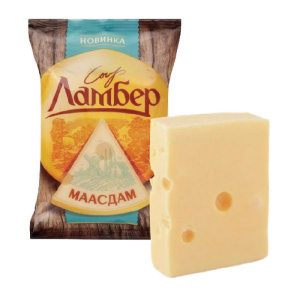 маасдам