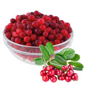 клюква-дикая