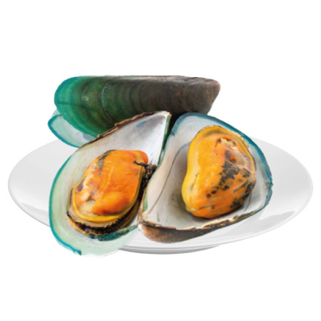 мидии-зеленые