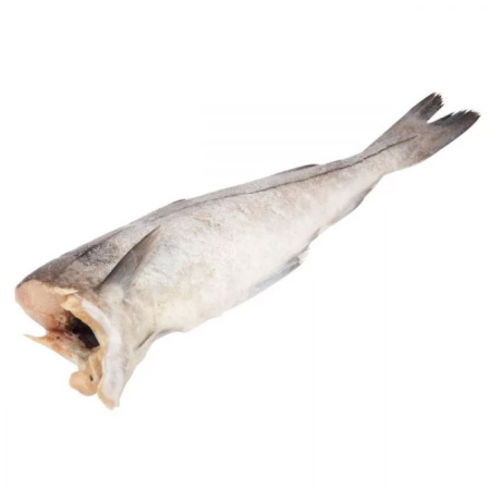 зубатка2.png