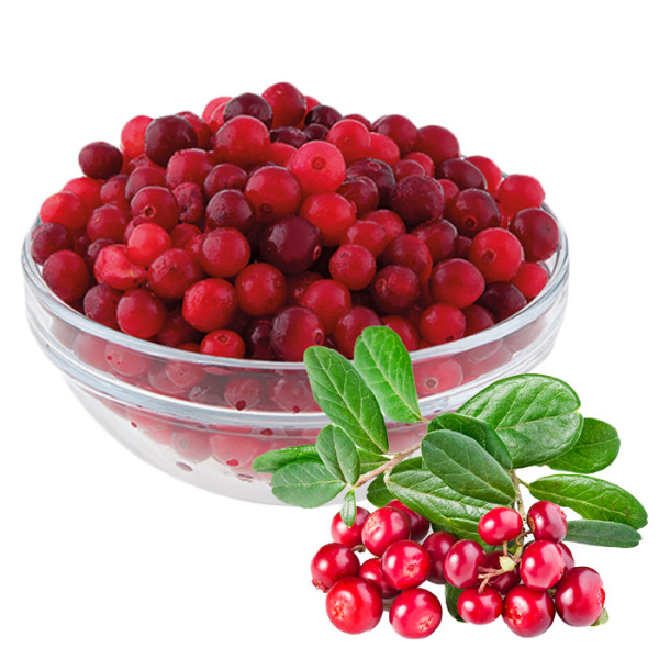 клюква-дикая