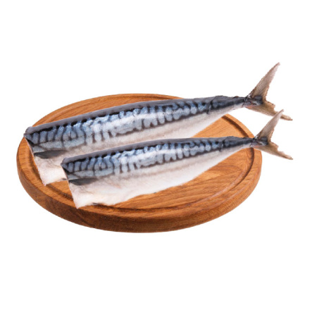 скумбрия