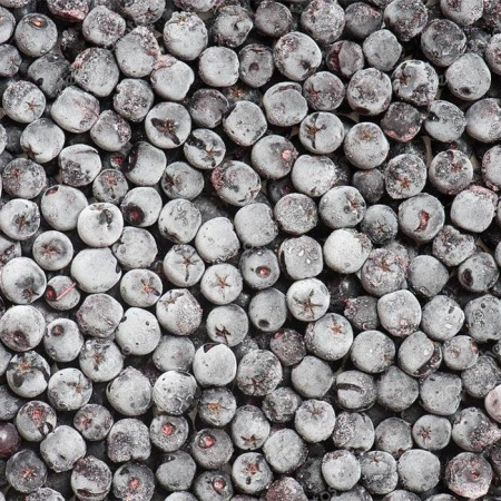 рябина-черноплодэ