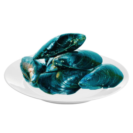 мидии-голубые