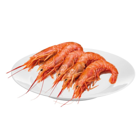 креветки-гребенчатые